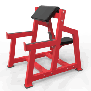 Seated Arm Curl