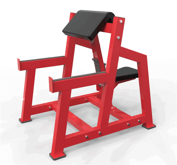 Seated Arm Curl