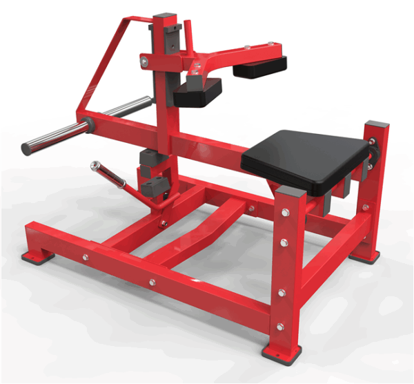 Seated Calf Raise