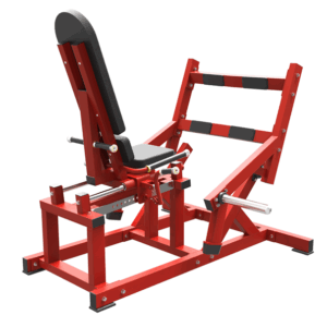 Seated Calf