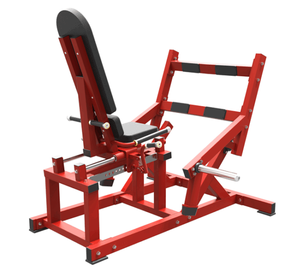 Seated Calf
