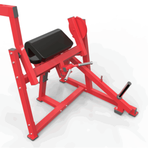 Seated Biceps