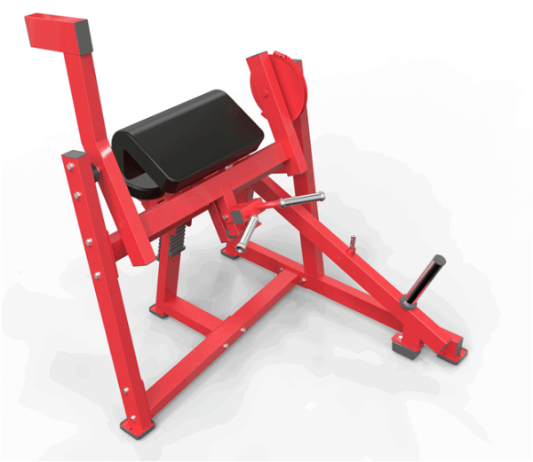 Seated Biceps