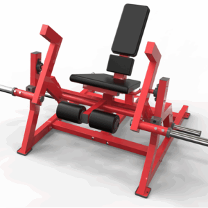 Leg Extension