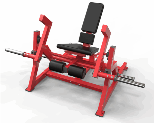 Leg Extension