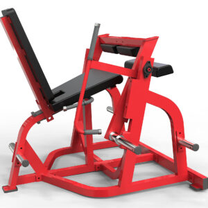 Seated Leg Curl
