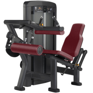 Life Fitness Insignia Series Seated Leg Curl